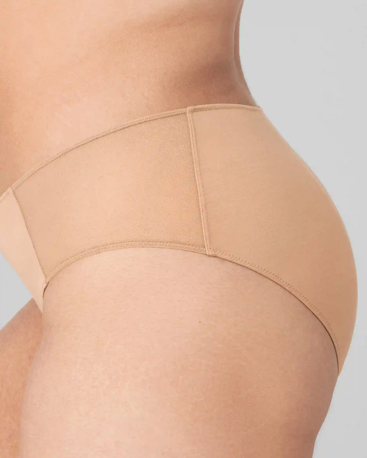 BlissWear Mesh Bikini